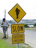 Geezer Crossing