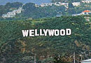 Proposed Wellywood sign