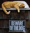 Beware of the Dog