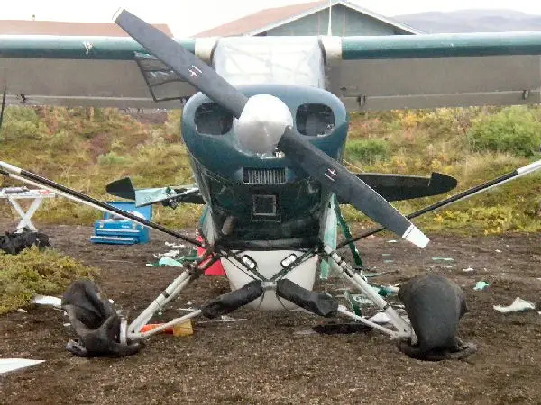 Damage to plane by bear pic 4