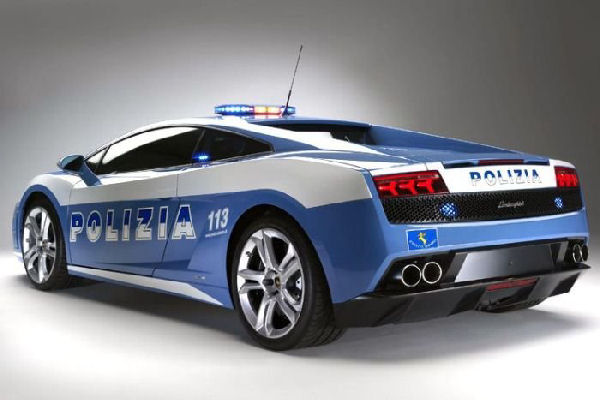 Introducing the new policecar pic 4