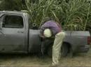 Corn Powered Truck