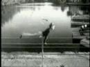 Old Swing Wing Commercial