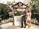 Wishing Well