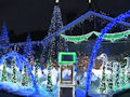Paul Toole's Christmas lights