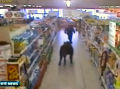 Bull in Supermarket