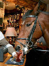 Horse in pub