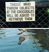Don't feed the crocodiles