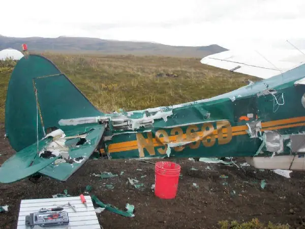 Damage to plane by bear pic 1