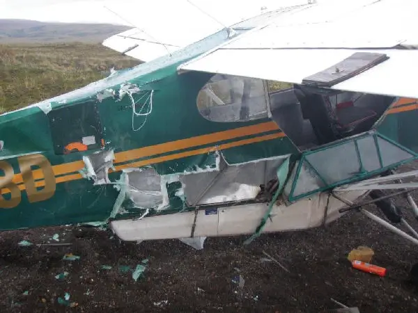 Damage to plane by bear pic 2
