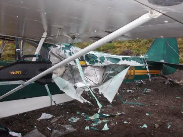 Damage to plane by bear pic 3