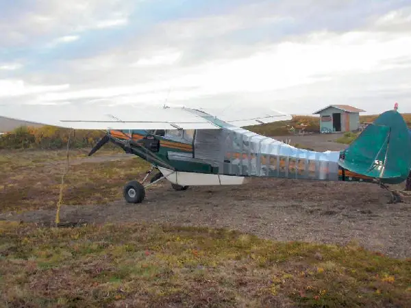 Damage to plane by bear pic 5