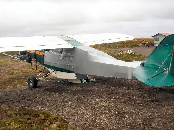 Damage to plane by bear pic 6